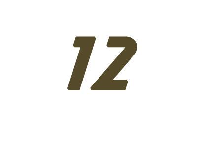 12 лет